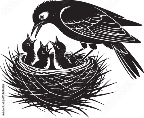 A mother bird feeding her young chicks in a woven nest illustration  on vector art