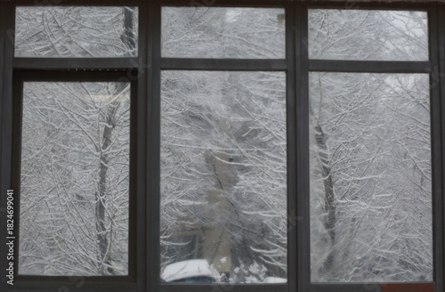 Snow-covered trees are reflected in the double-glazed windows