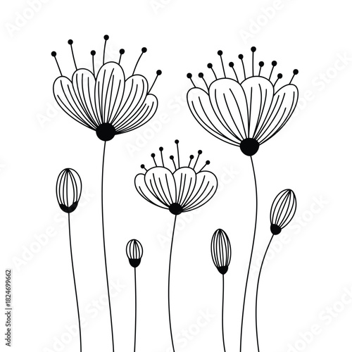 Delicate hand drawn floral illustration with blooming flowers and buds