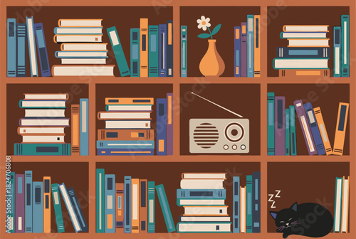 Illustration of bookshelf with books radio vase and sleeping cat for home decor and study room design