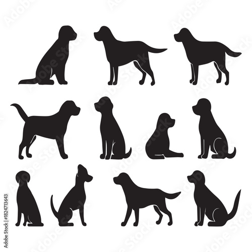 Varied labrador dog shapes in sitting, standing, walking, lying poses, black silhouette collection