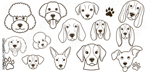 Cute Dog Faces Icons, Collection Of Poodle Beagle And Puppy Symbols For Kids Design Project Management And Education Applications

