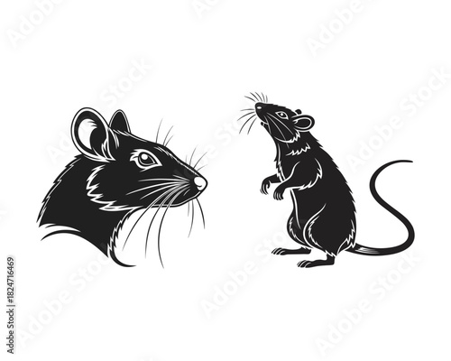 A stylized black silhouette of a rat's head is shown on the left, and a full-body silhouette of a rat standing on its hind legs is on the right