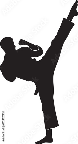Martial Arts High Kick Silhouette: Karate Fighter, Taekwondo Sport, Aggressive Attack Vector