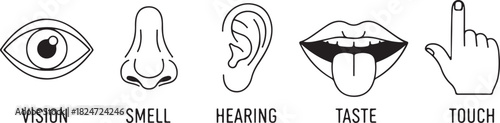 The Five Senses: Vision, Smell, Hearing, Taste, and Touch Icons