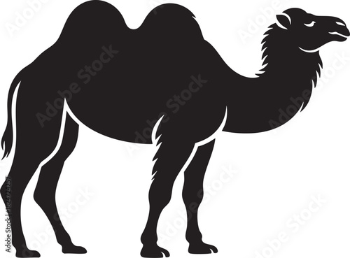 A stark black silhouette of a dromedary camel with one hump, standing in profile on a plain white backdrop.