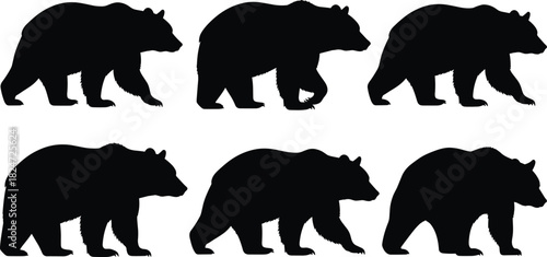 Set of Black Bear Silhouettes in Walking and Standing Poses, Representing Wildlife, Grizzly Bears, Kodiak, and Wild Forest Animals Vector Graphics.