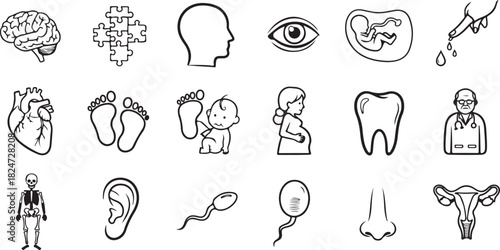 Medical and Human Anatomy Icons: Brain, Heart, Skeleton, and More