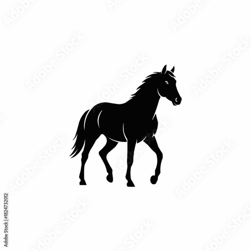 Silhouette of a majestic black horse walking gracefully.