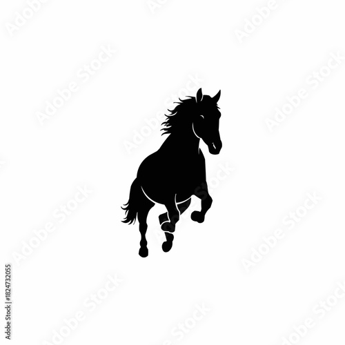 Silhouette of a Horse Rearing Up on its Hind Legs.