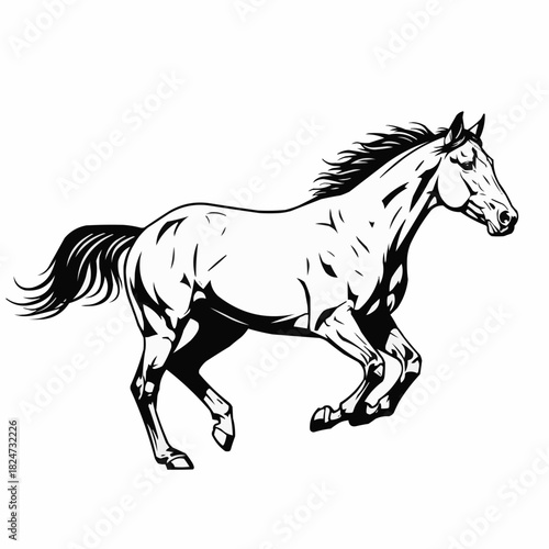 Elegant Black and White Horse Illustration in Dynamic Motion.