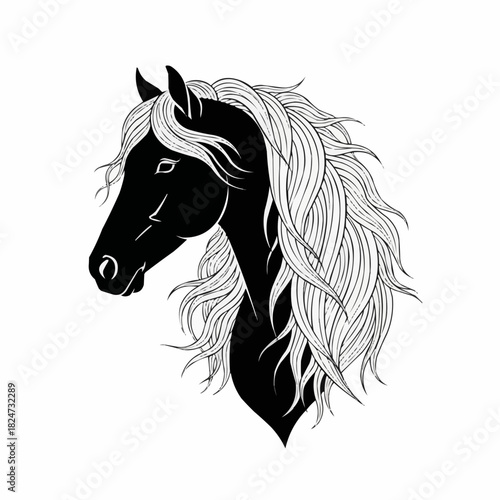 Elegant black horse head with a long flowing white mane.