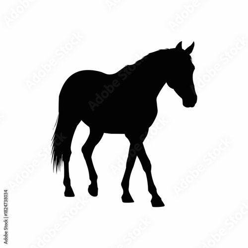 Majestic Horse Silhouette Walking Gracefully on White Background.