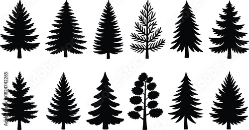 Set of black pine tree silhouettes including fir and spruce for Christmas and forest nature vector design.