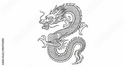 Majestic Chinese Dragon Illustration in Detailed Black and White.