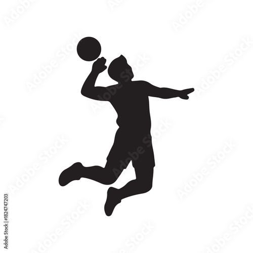 Volleyball silhouette icon vector flat design