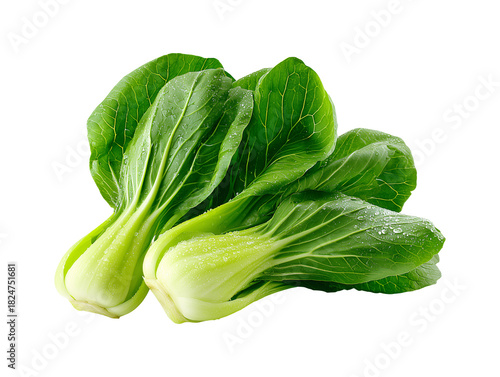 Fresh bok choy or pak choi vegetable isolated on transparent or white background, png
