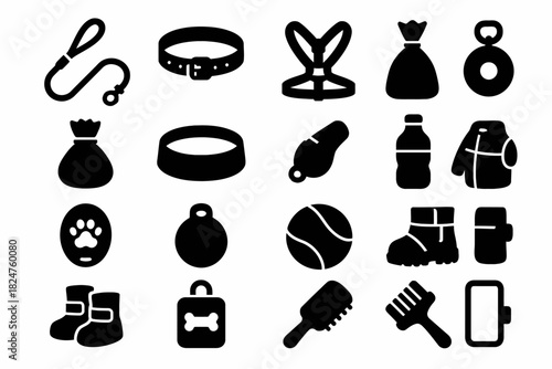 Pet accessories collection: leash, collar, ball, grooming tools, boots