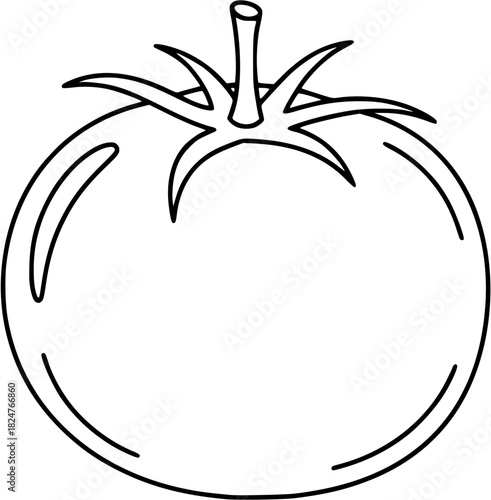 Vector art of tomato in outline style