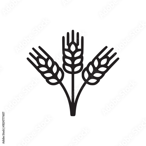 Three stalks of wheat in black outline on a white background in a simple and minimalist style