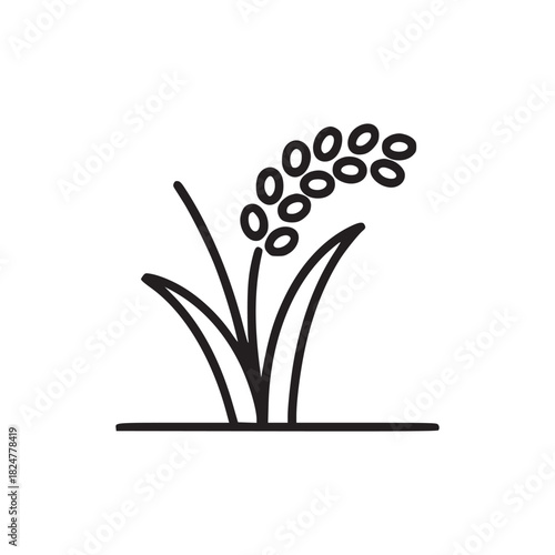 Line drawing of a plant with leaves and seeds or grains on top with a line underneath on a white background