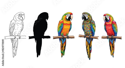 Macaw parrots in five artistic styles sketch, silhouette, realistic, and glitch effect, perched