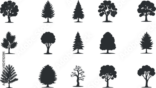 Collection of Diverse Tree Silhouettes Featuring Evergreen and Deciduous Forests