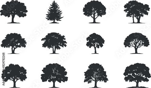Variety of Tree Silhouettes in Different Shapes for Nature and Seasonal Design Elements
