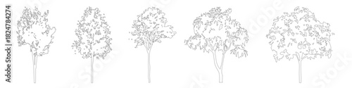 Architectural CAD Tree Outline Linework, Side View Trees for Landscape and Site Design