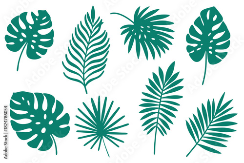 Monstera and palm frond leaves are arranged in isolated formation on a white background