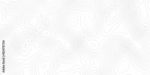 Modern land relief geographic abstract topography map design White background. geometric topographic world grid wave Topographic map geographic line texture.	