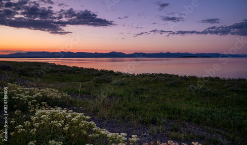 Fototapeta Naklejka Na Ścianę i Meble -  Pink Morning Light Over Yellowstone Lake