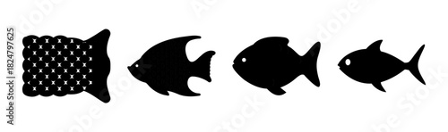 Varied fish shapes in silhouette, representing ocean life.