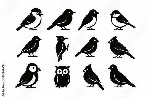 Silhouette collection of various bird species in simple iconic design