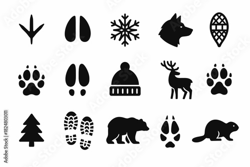 Winter and wildlife icons: animals, footprints, snowflake, and gear silhouettes