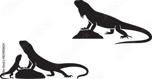 Varanidae lizard family silhouettes standing on ground or rocks adult and young reptiles vector drawing.