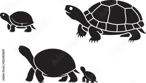 Detailed tortoises silhouettes set of large and small reptiles illustrating shell pattern vector graphics collection.