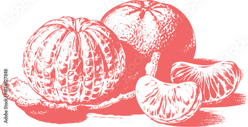 Peeled Tangerine and Whole Mandarin with Segments on White Background orange citrus