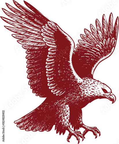 Red Eagle in Flight Hand Drawn Sketch with Wings Spread on White Background bird raptor