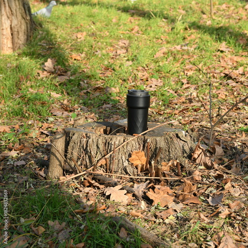 A black coffee cup sits atop a wooden tree stump in a park, surrounded by green grass and scattered autumn leaves under warm sunlight