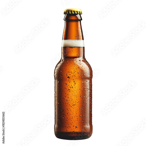 Enjoy Refreshing Craft Beer During a Summer Gathering With Friends by the Lake
