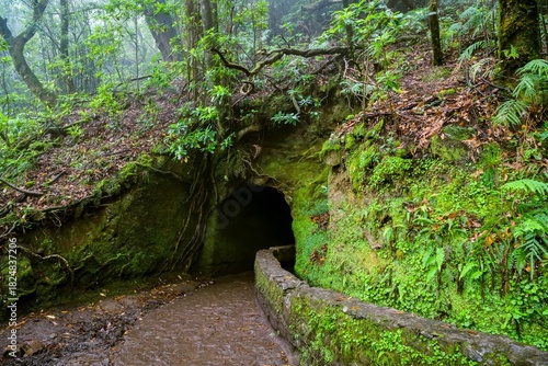Entrance to short tunnel on Levada do Caldeirao Verde trail