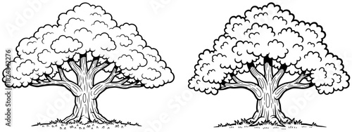 Handdrawn illustration of two mature trees with full crowns and textured bark, artistic sketch