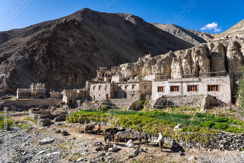 Shingo, India - September 14, 2024: View of Shingo village in Hemis National Park in Ladakh district