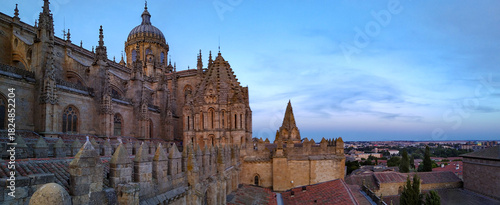 Fotografi View of salamanca cathedral exterior from visitor point of view