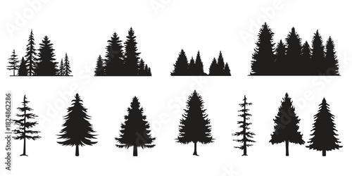 Coniferous trees and forest silhouettes collection, various pine fir nature