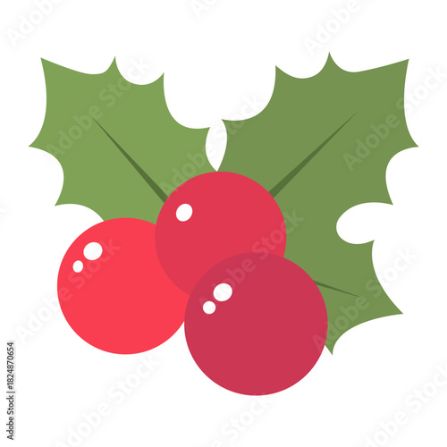 christmas berry color flat icon