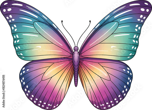 Beautifully colored butterfly white background