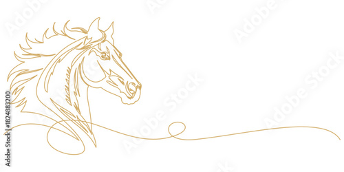 vector illustration of a chinese horse shio background in line art style