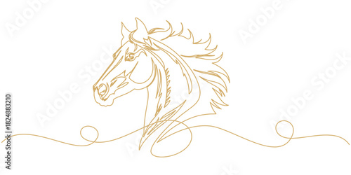 vector illustration of an line art style background with chinese horse shio